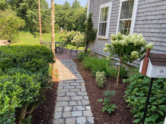 Walkway with shrubbery